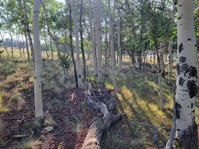 a view of a lake with mountain in the background