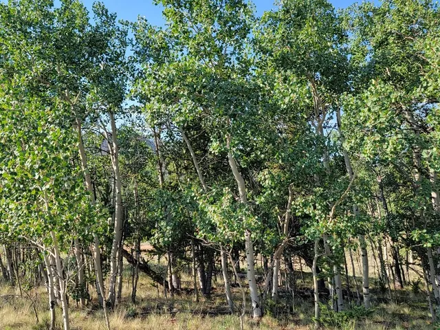 a bath tub sitting in a bathroom