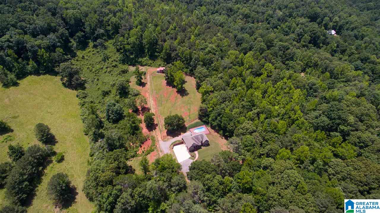 301 Old Springs Lane Springville, AL 35146 - Photo 27 of 29