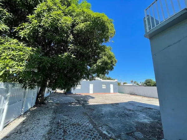 a view of a yard with plants and trees