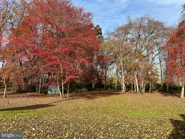 a view of outdoor space with trees