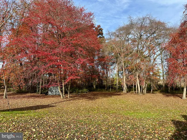 a view of outdoor space with trees