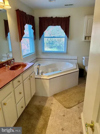 a bathroom with a tub sink and mirror