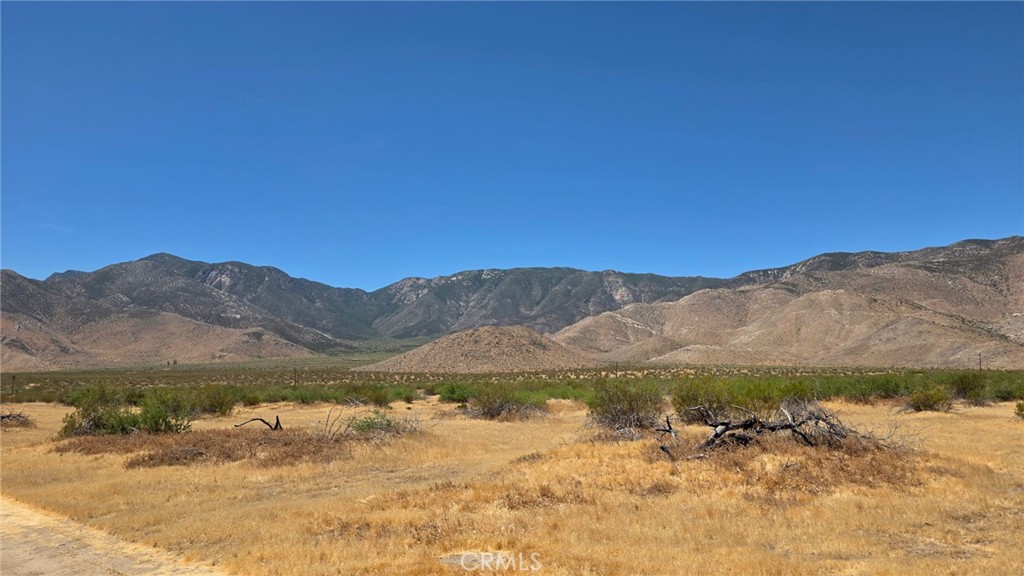 15035 Great Southern Overland Stage Route Julian, CA 92036 - Photo 6 of 11 a view of a dry yard with mountains in the background