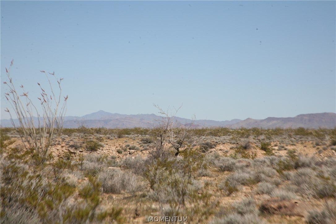 208-24-134 South Cameron Road Yucca, AZ 86438 - Photo 79 of 86 Gallery Image 79