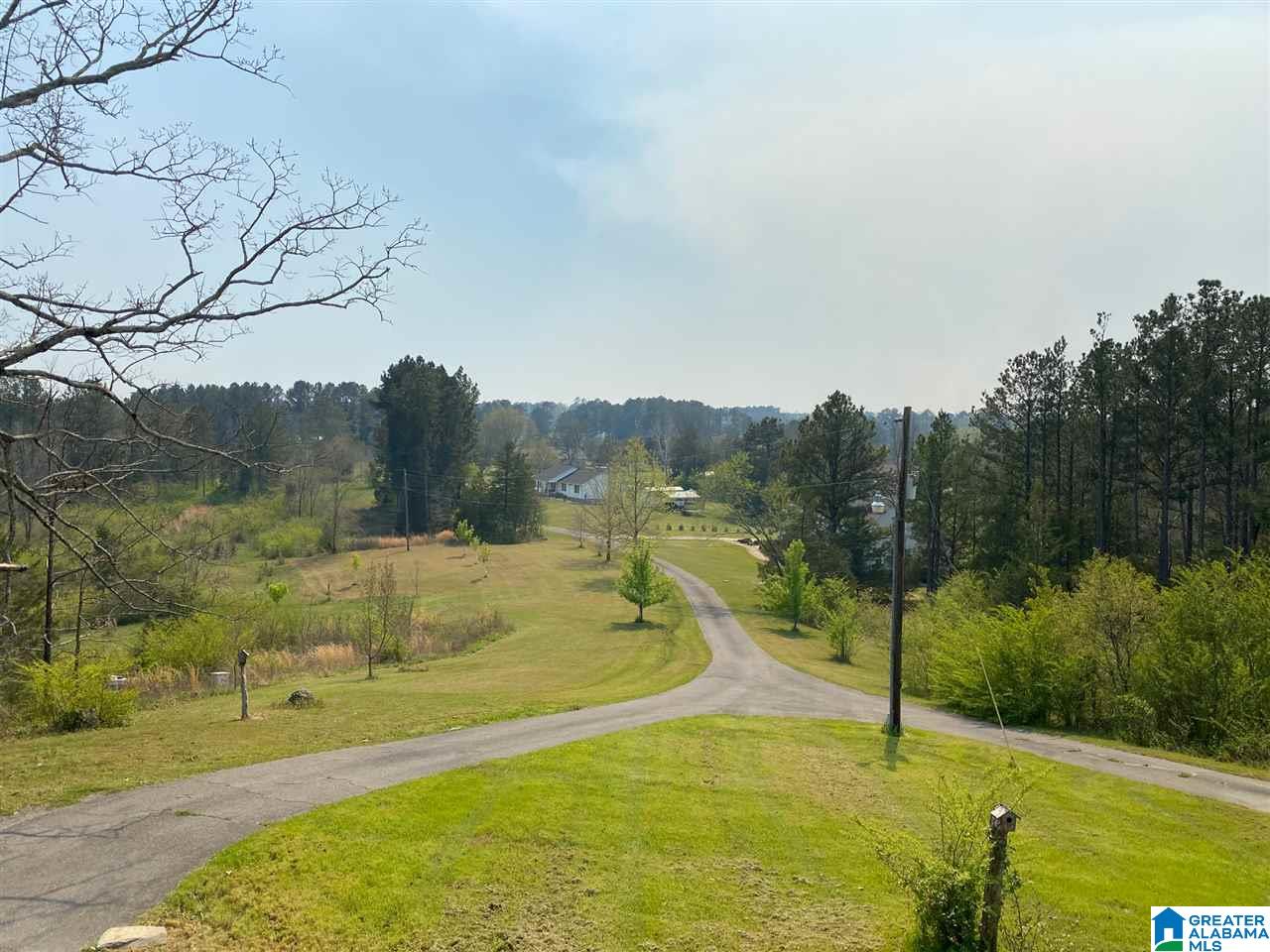 1391 Holland Finley Road Jacksonville, AL 36265 - Photo 6 of 40