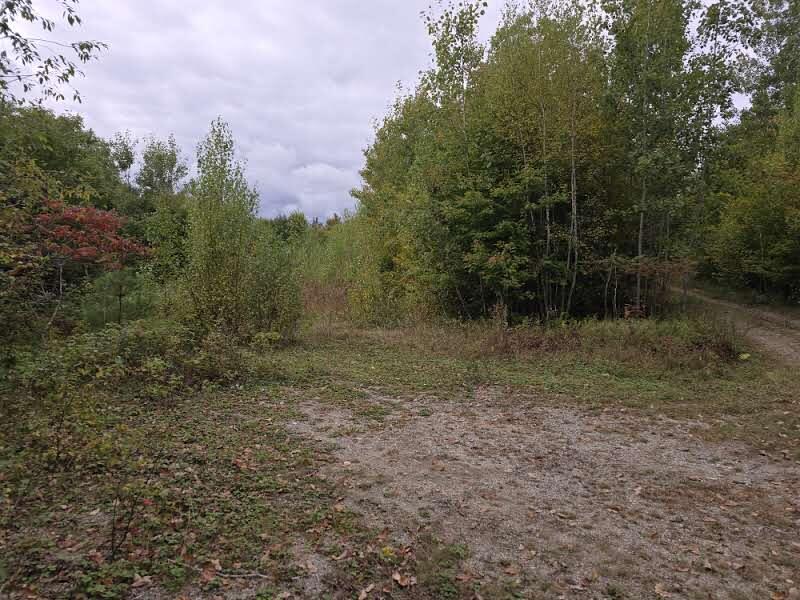 Lot 36 Lot Road Deblois, ME 04622 - Photo 10 of 11 20240927_135357