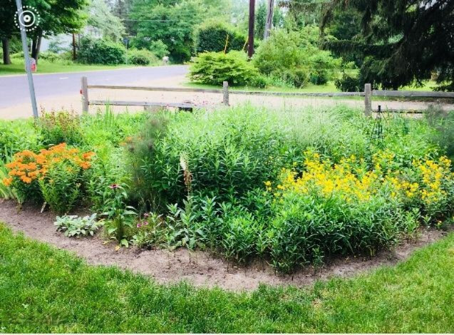 9629 Union Rd Union Union Pier, MI 49129 - Photo 38 of 45 Gardens