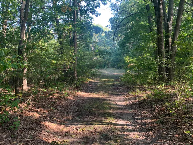 $349,900 | 711 Division Street, Eastlake, MI 49626