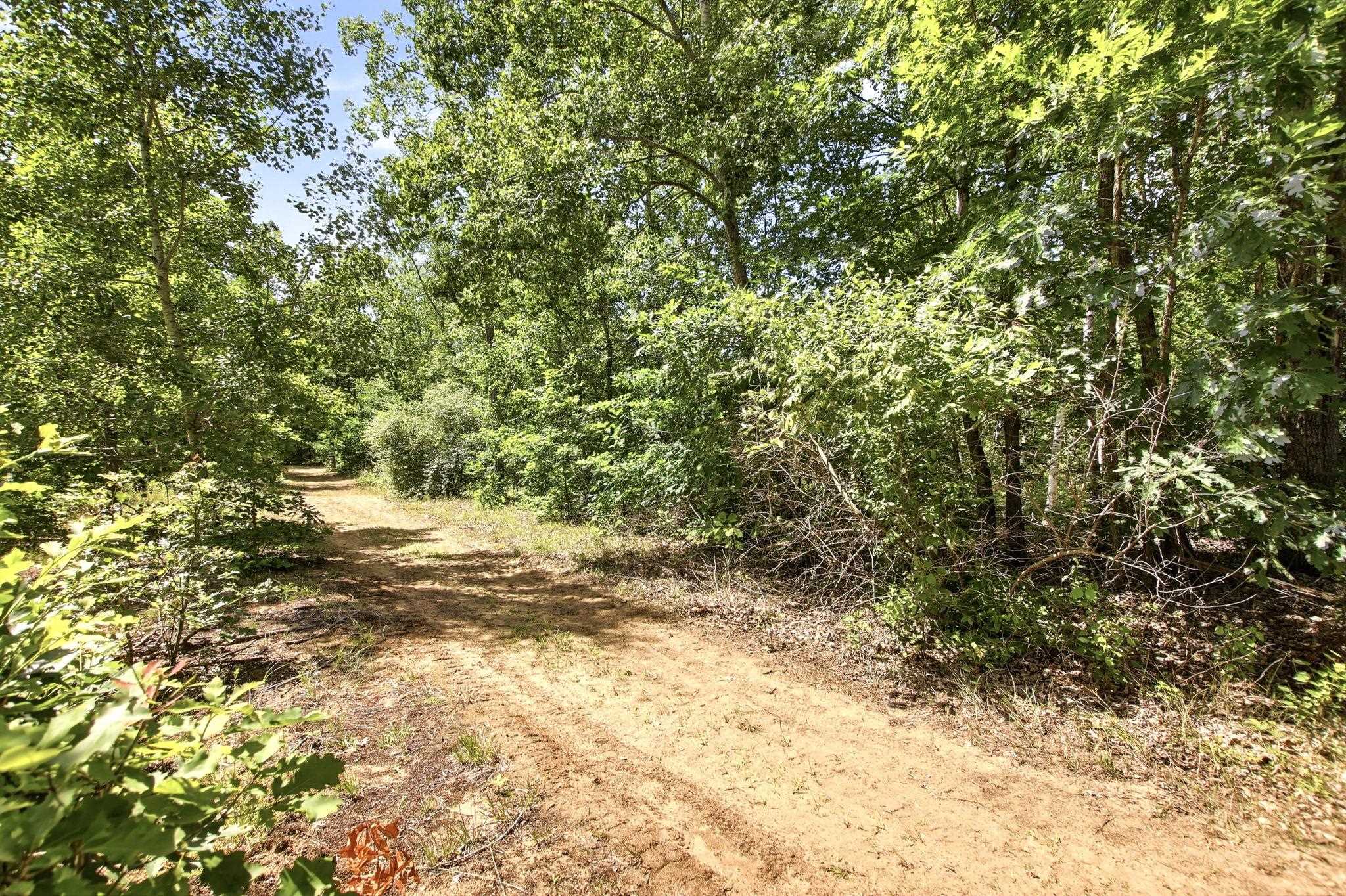 4960 Washburn Road Vassar, MI 48768 - Photo 59 of 68