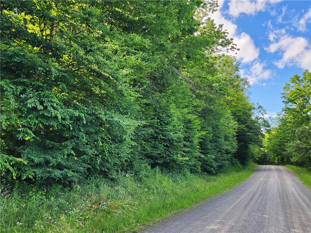 607 Gulf Road Burlington, NY 13315 - Photo 11 of 13 Gulf Rd. frontage