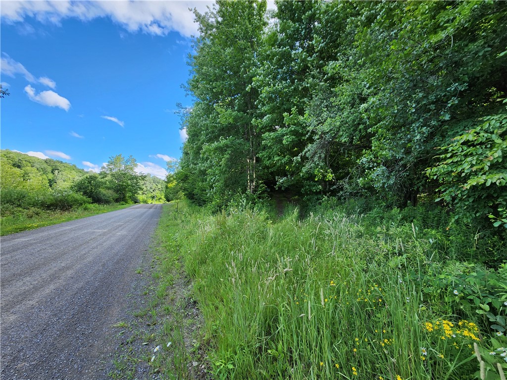 607 Gulf Road Burlington, NY 13315 - Photo 12 of 13 Gulf Rd. frontage on right