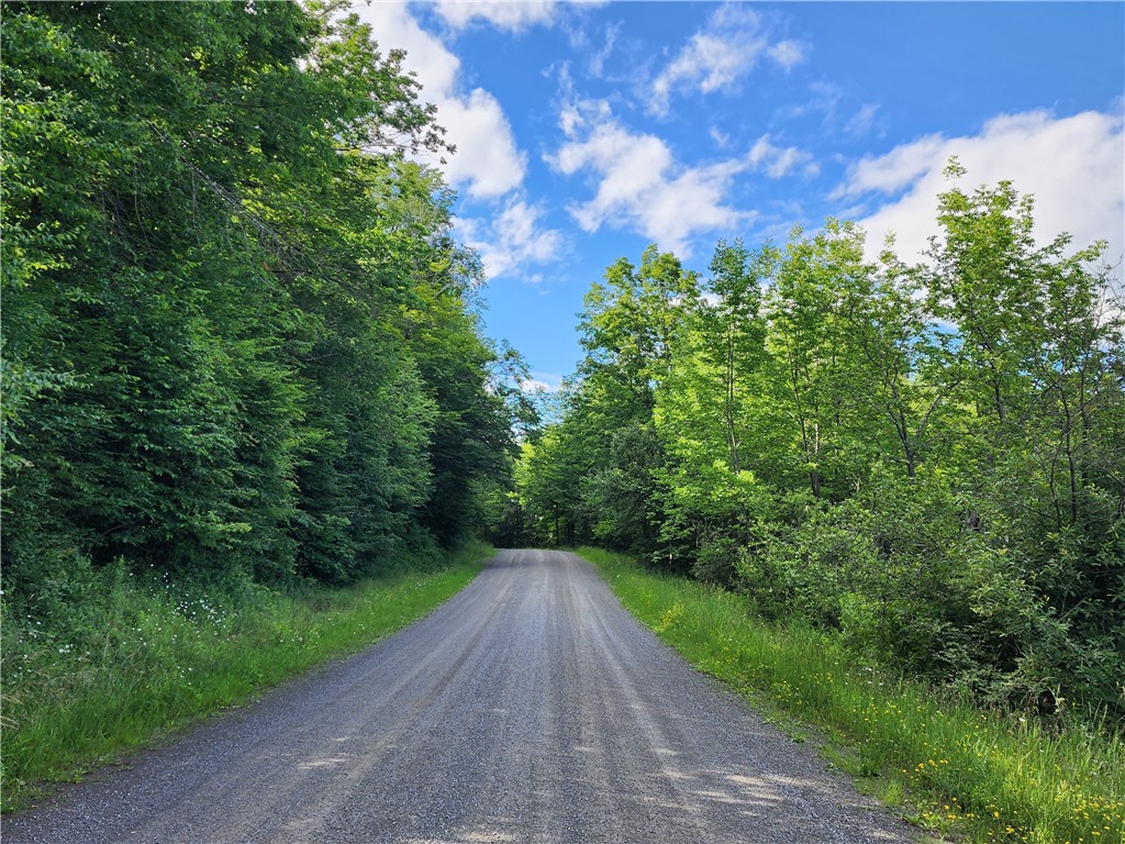 607 Gulf Road Burlington, NY 13315 - Photo 13 of 13