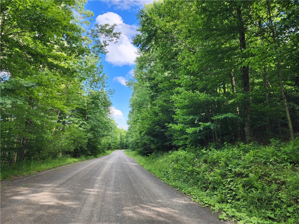 607 Gulf Road Burlington, NY 13315 - Photo 3 of 13 Gulf Rd. frontage on the right