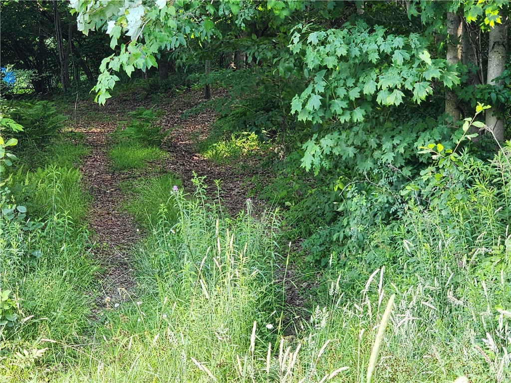 607 Gulf Road Burlington, NY 13315 - Photo 4 of 13 Access Rd. into the land