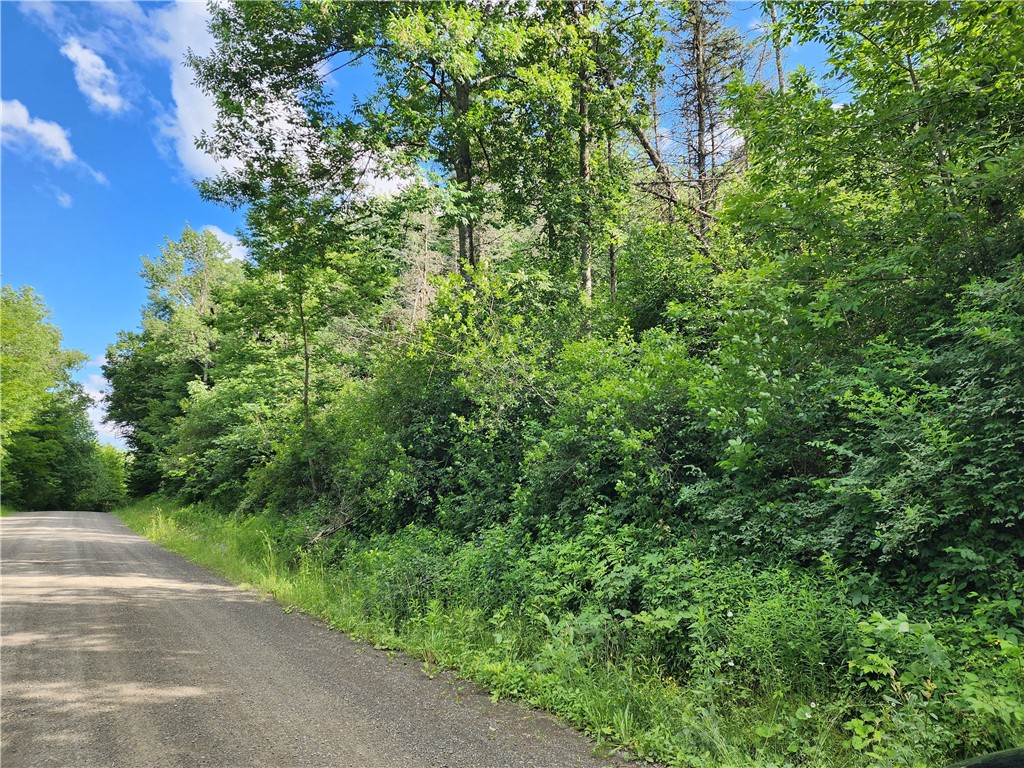 607 Gulf Road Burlington, NY 13315 - Photo 5 of 13 Gulf Rd. frontage