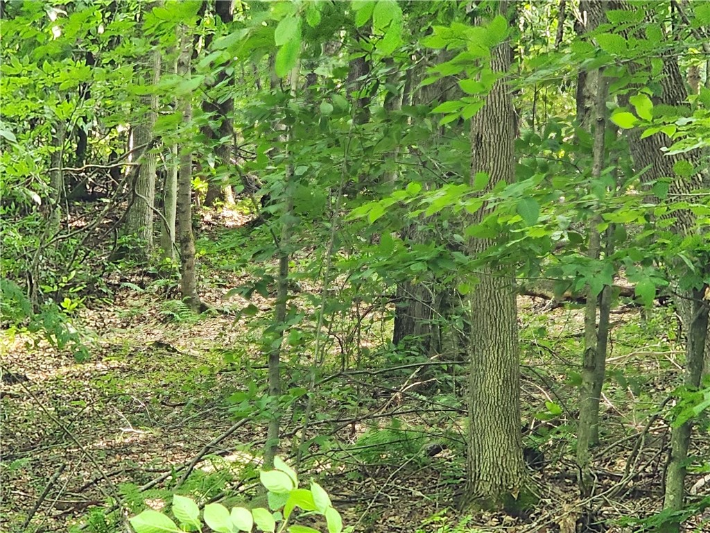 607 Gulf Road Burlington, NY 13315 - Photo 6 of 13