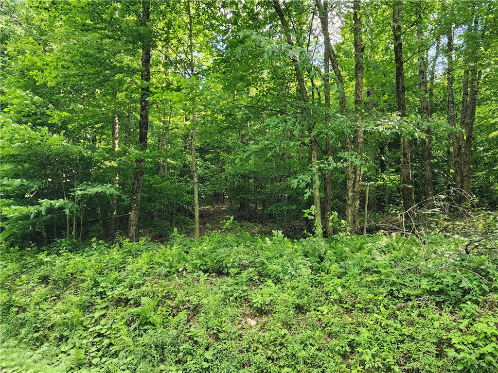 607 Gulf Road Burlington, NY 13315 - Photo 7 of 13