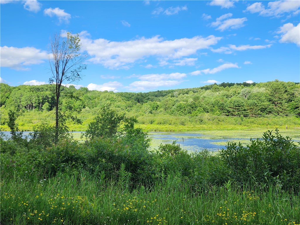 607 Gulf Road Burlington, NY 13315 - Photo 8 of 13 View from the 40 acres looking out across Gulf Rd.