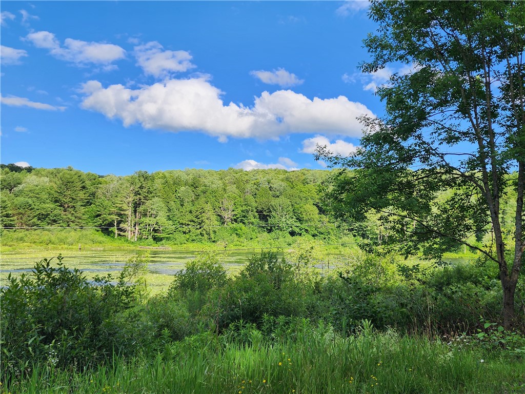 607 Gulf Road Burlington, NY 13315 - Photo 9 of 13 View from the land looking across Gulf Rd.