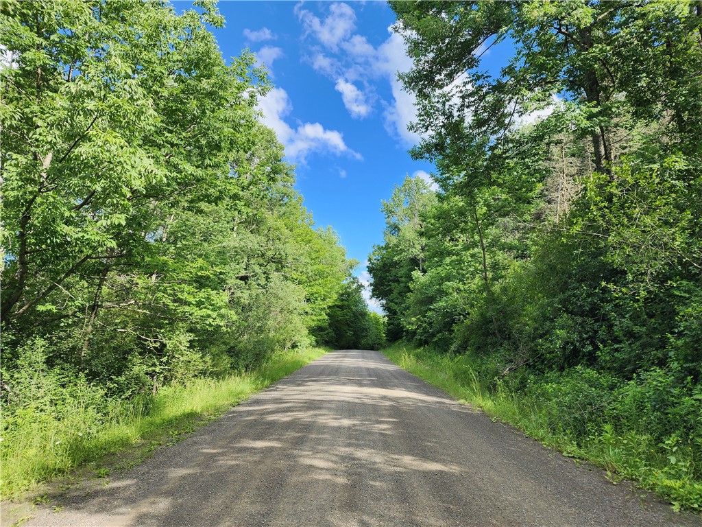 607 Gulf Road Burlington, NY 13315 - Photo 10 of 13 Gulf Rd.