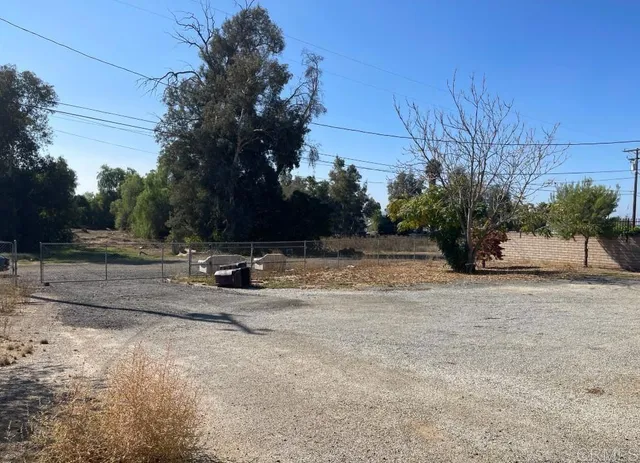 a view of a park with large trees