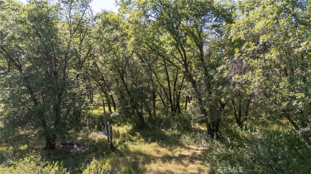 13520 Point Lakeview Road Lower Lake, CA 95457 - Photo 19 of 31