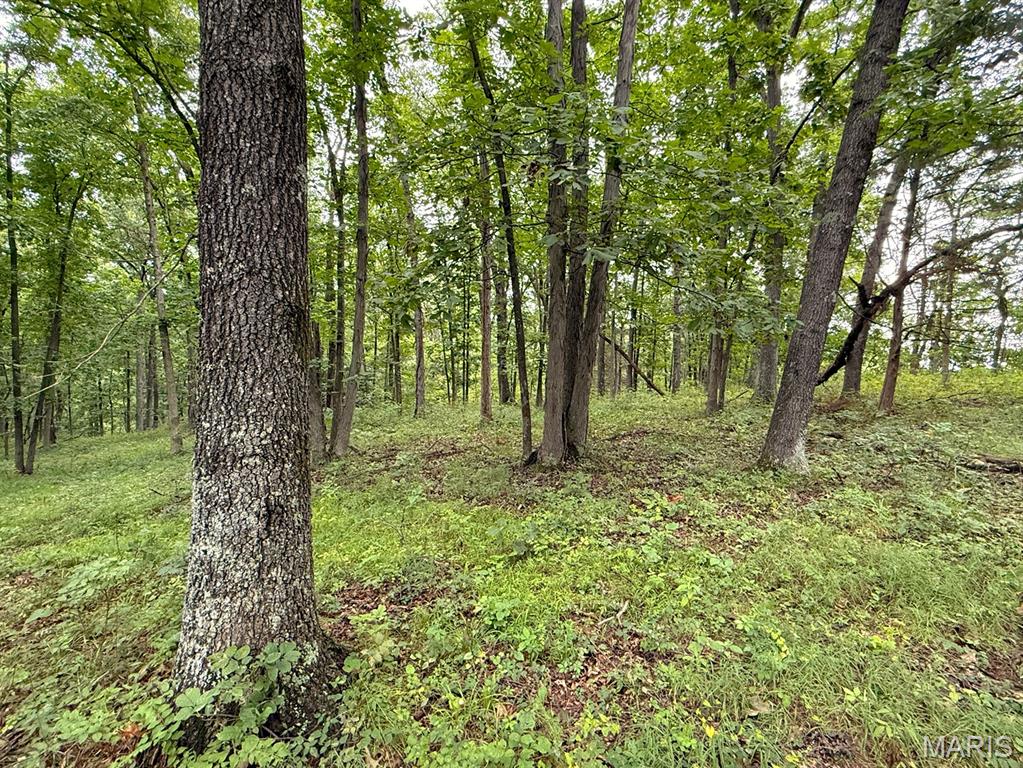 0 County 208 Road Fayette, MO 65248 - Photo 25 of 34 Gallery Image 25