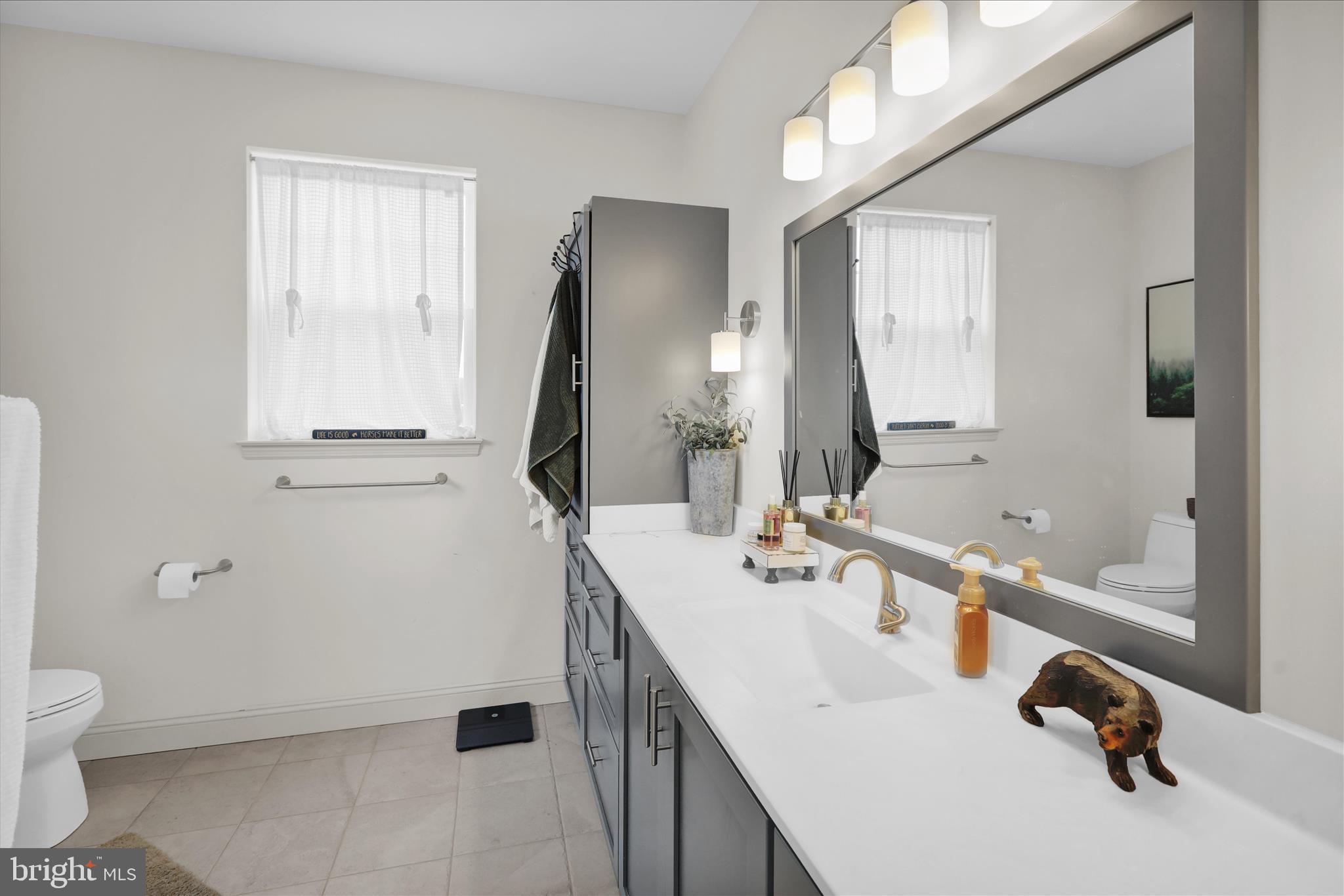 120 Great Bend Way Reading, PA 19608 - Photo 20 of 52 a bathroom with a sink a toilet and a mirror