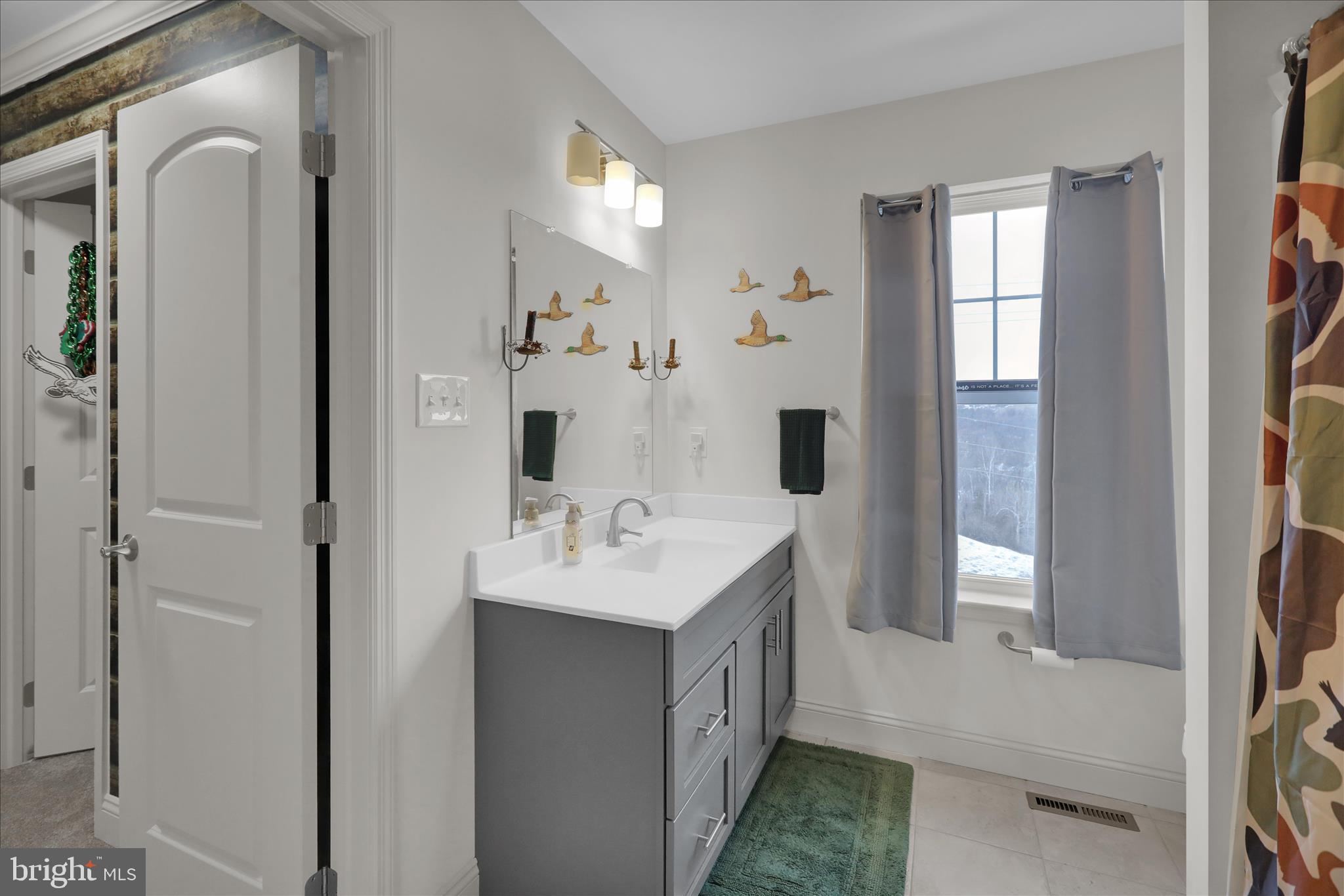 120 Great Bend Way Reading, PA 19608 - Photo 31 of 52 a en suite bathroom with a sink a mirror and a shower