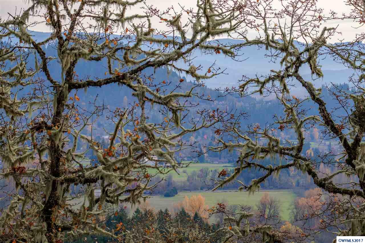 Camp Creek Springfield, OR 97478 - Photo 18 of 32 a view of tree