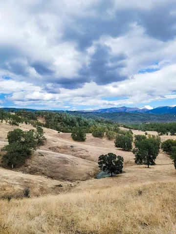 an outdoor view of a road with an ocean