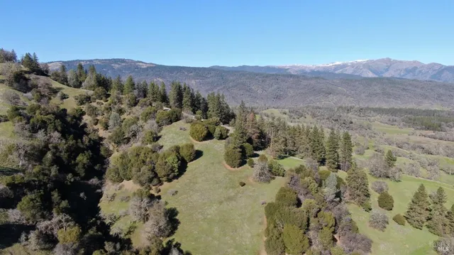 a view of a forest with mountains in the background