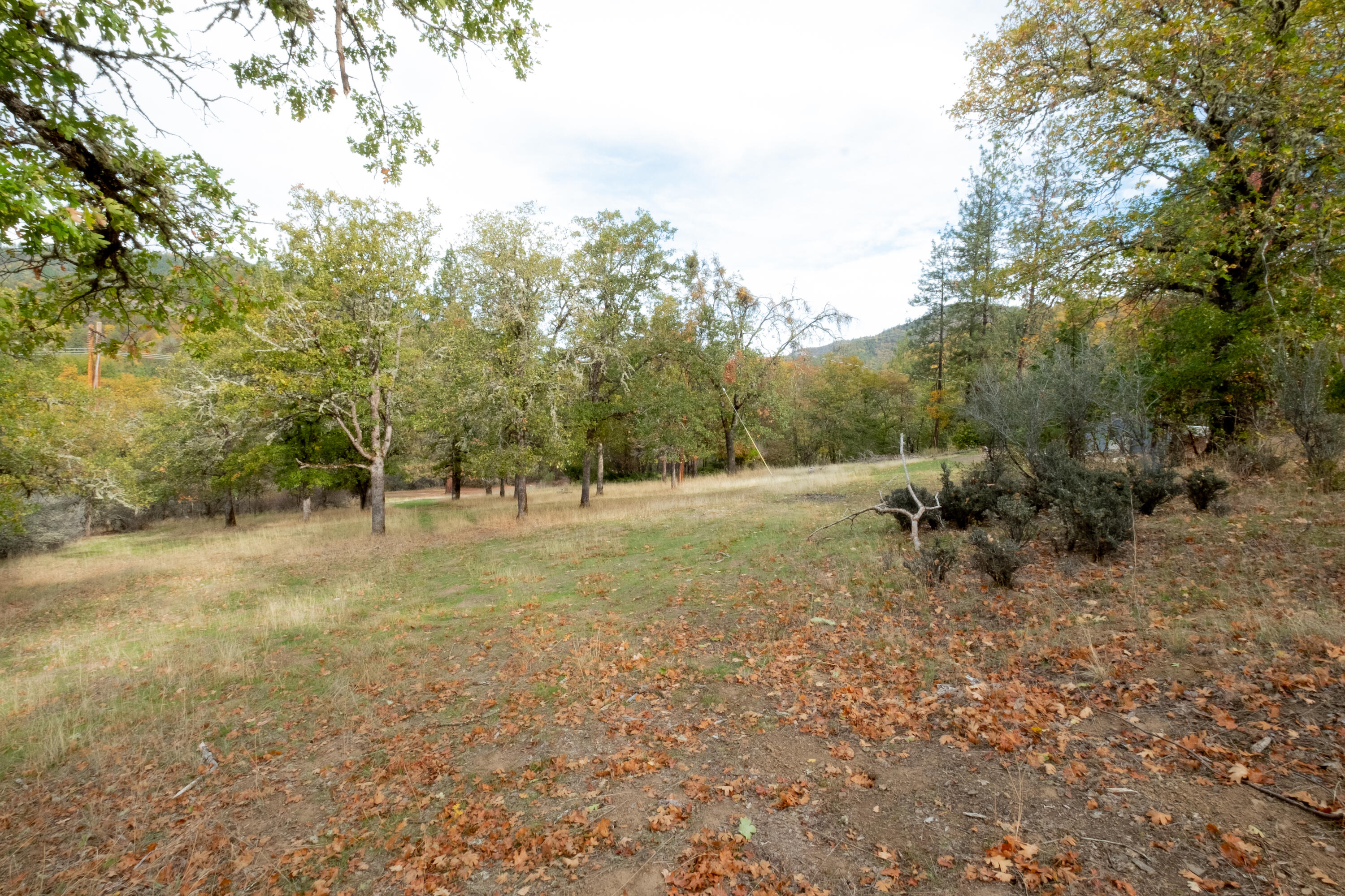 2946 Wards Creek Road Rogue River, OR 97537 - Photo 13 of 19 DSCF2647