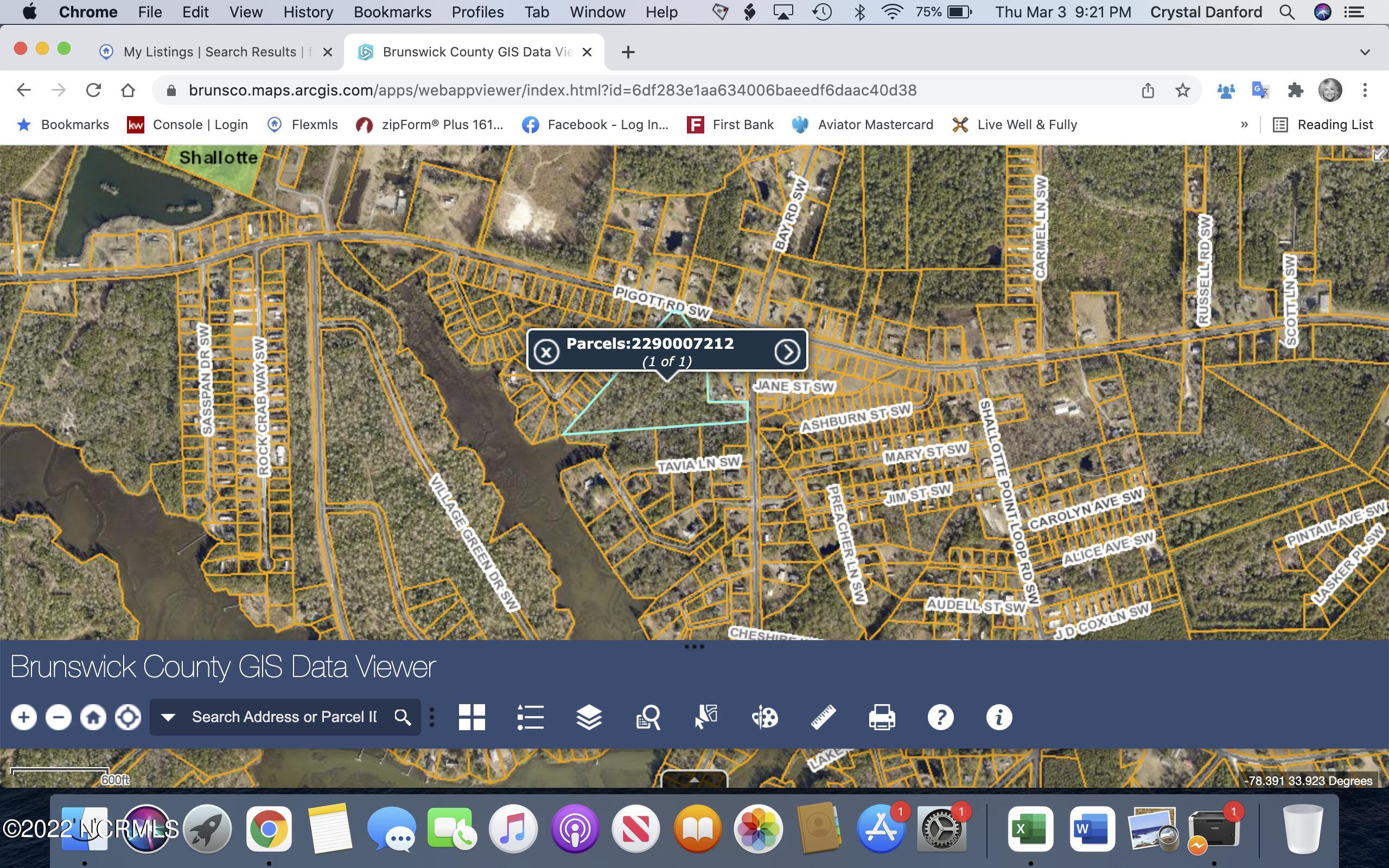 Tr-a 8.92 Pigott Road Southwest Shallotte, NC 28470 - Photo 3 of 4 Screen Shot 2022-03-03 at 9.21.18 PM