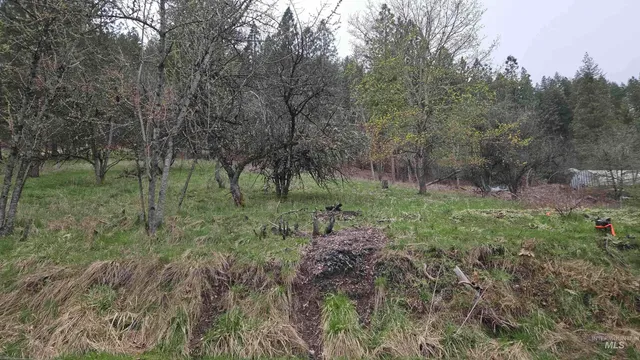 $42,000 | 56 Peck Id 83545, Peck, ID 83545