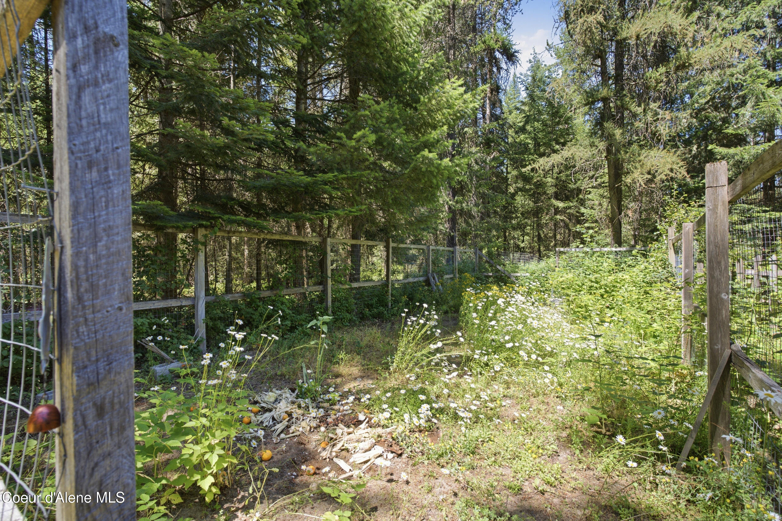 428 South Rena Road Oldtown, ID 83822 - Photo 35 of 53 Mature Landscape