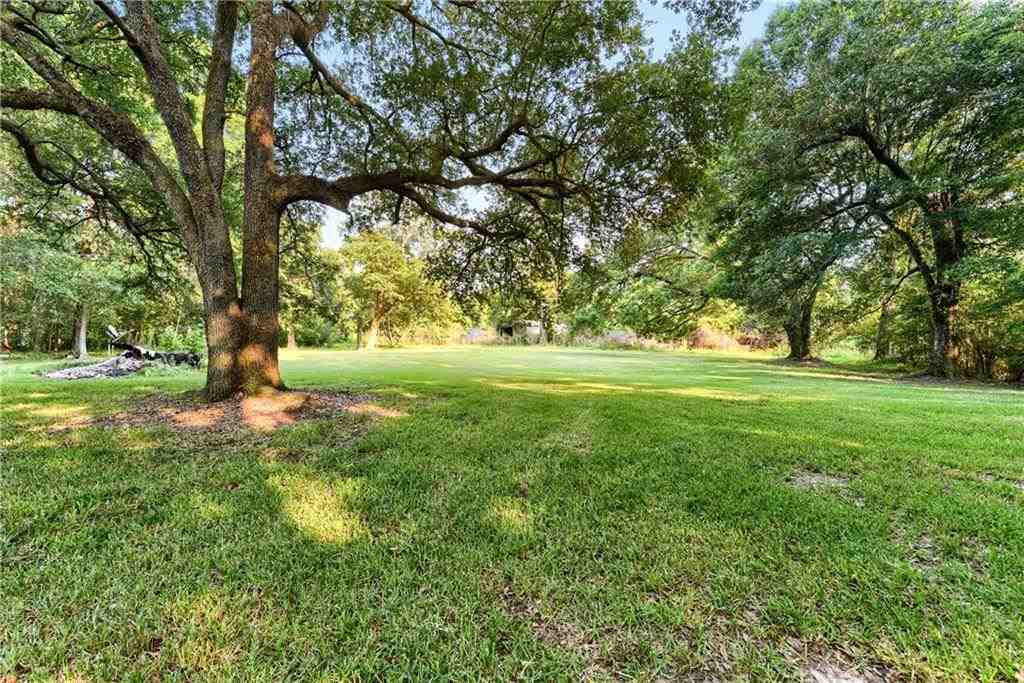 10002 Bennett Cemetery Road Folsom, LA 70437 - Photo 21 of 25 Gallery Image 21