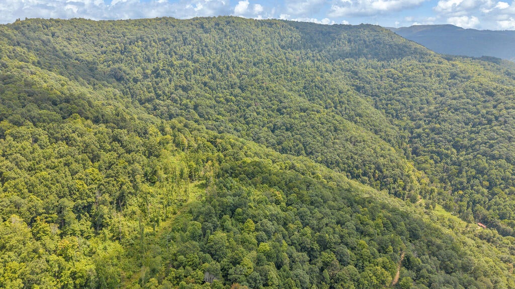 0 Wingfield Mountain Road Sandstone, WV 25985 - Photo 6 of 18 Gallery Image 6