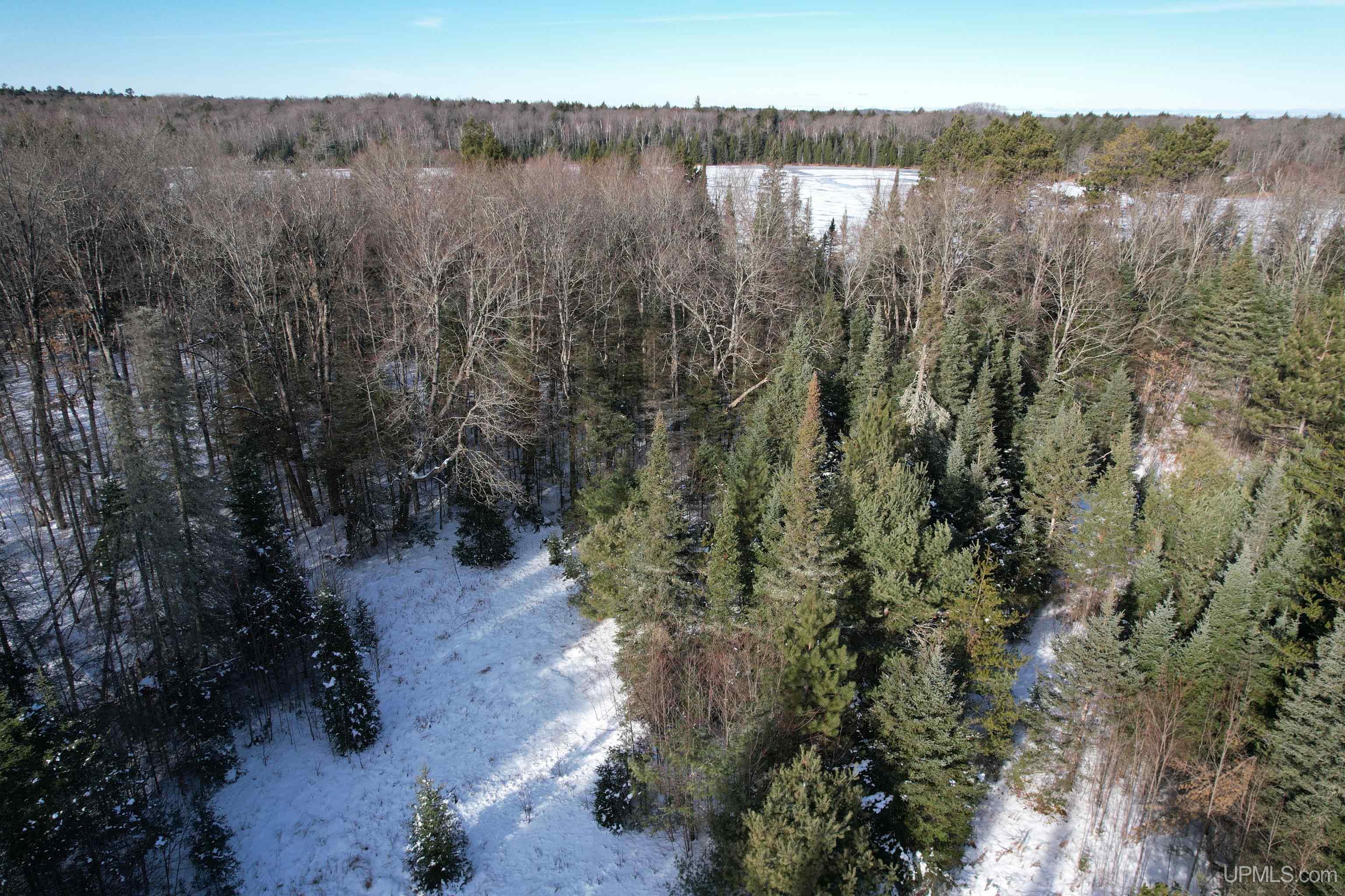 0 Ponozzo Road Iron River, MI 49935 - Photo 29 of 47 Gallery Image 29