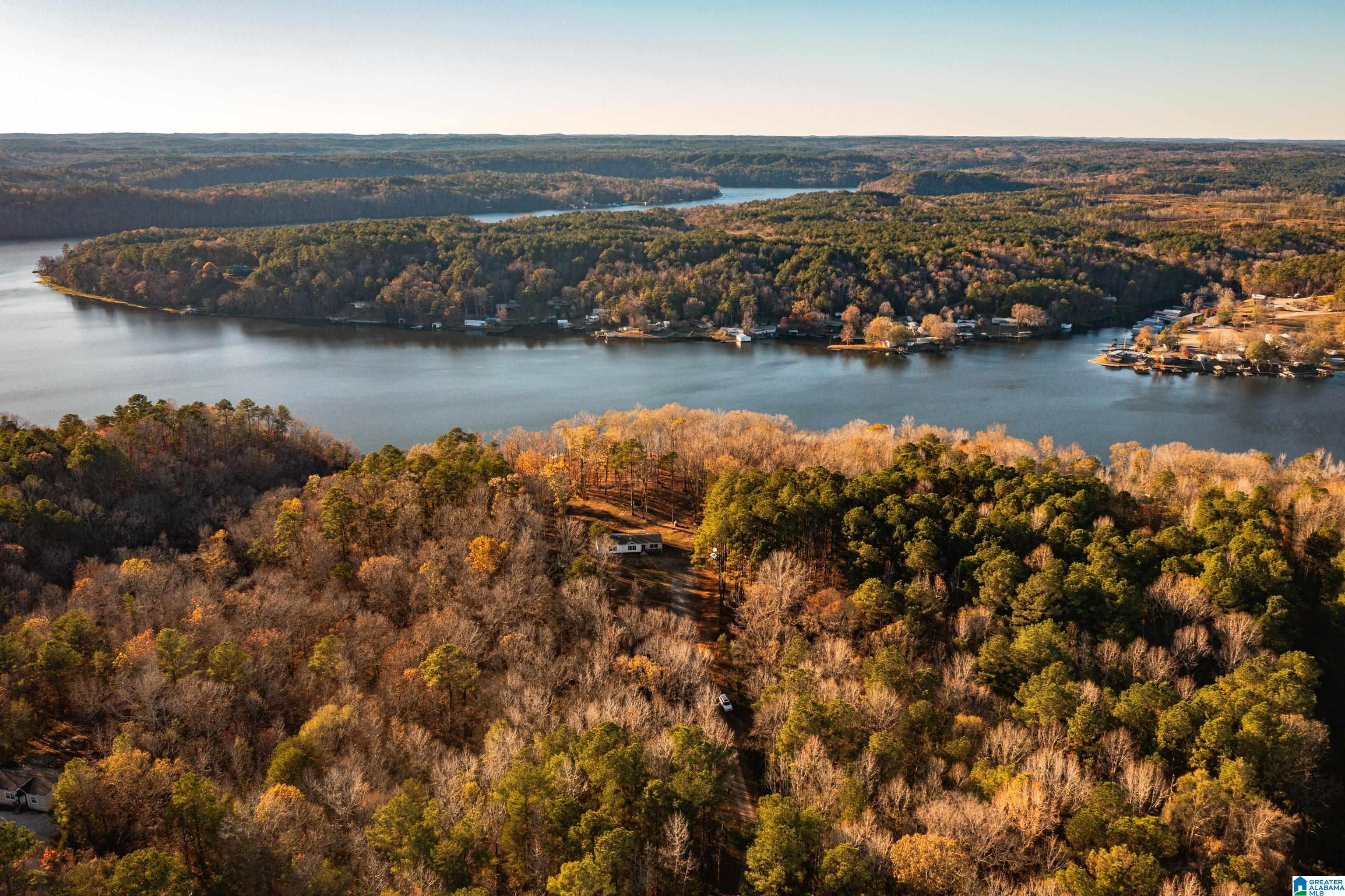 191 Warrior River Highlands Road Adger, AL 35006 - Photo 64 of 81