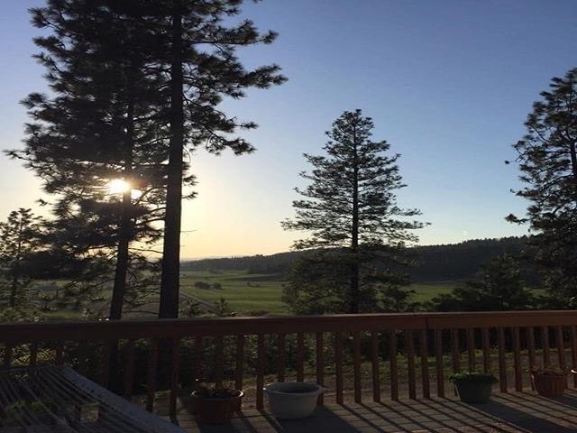 9414 East Big Meadows Road Chattaroy, WA 99003 - Photo 18 of 22