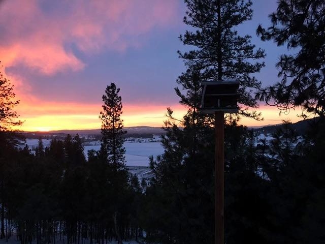 9414 East Big Meadows Road Chattaroy, WA 99003 - Photo 19 of 22