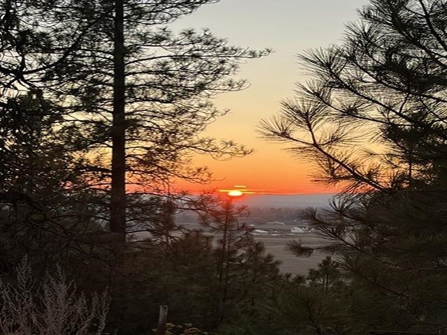 9414 East Big Meadows Road Chattaroy, WA 99003 - Photo 20 of 22