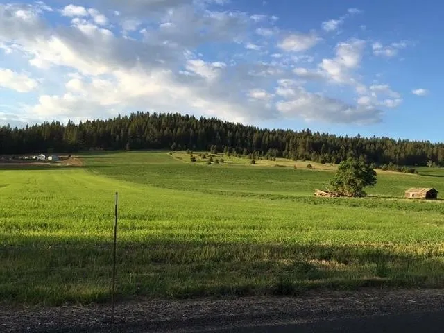 $415,000 | 9414 East Big Meadows Road, Chattaroy, WA 99003