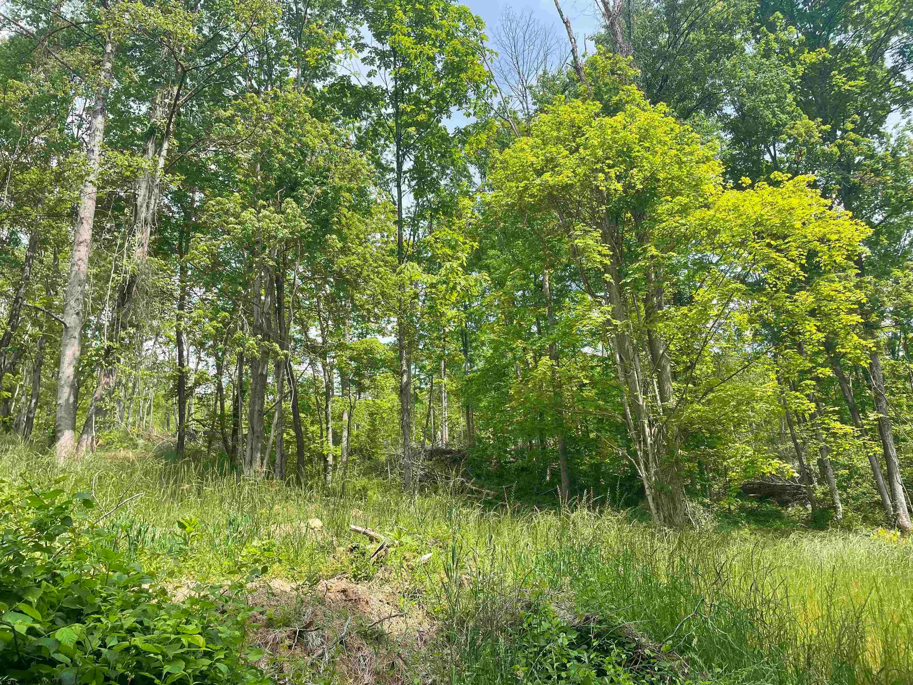 Tbd River Run Road Fairmont, WV 26554 - Photo 3 of 9 Gallery Image 3