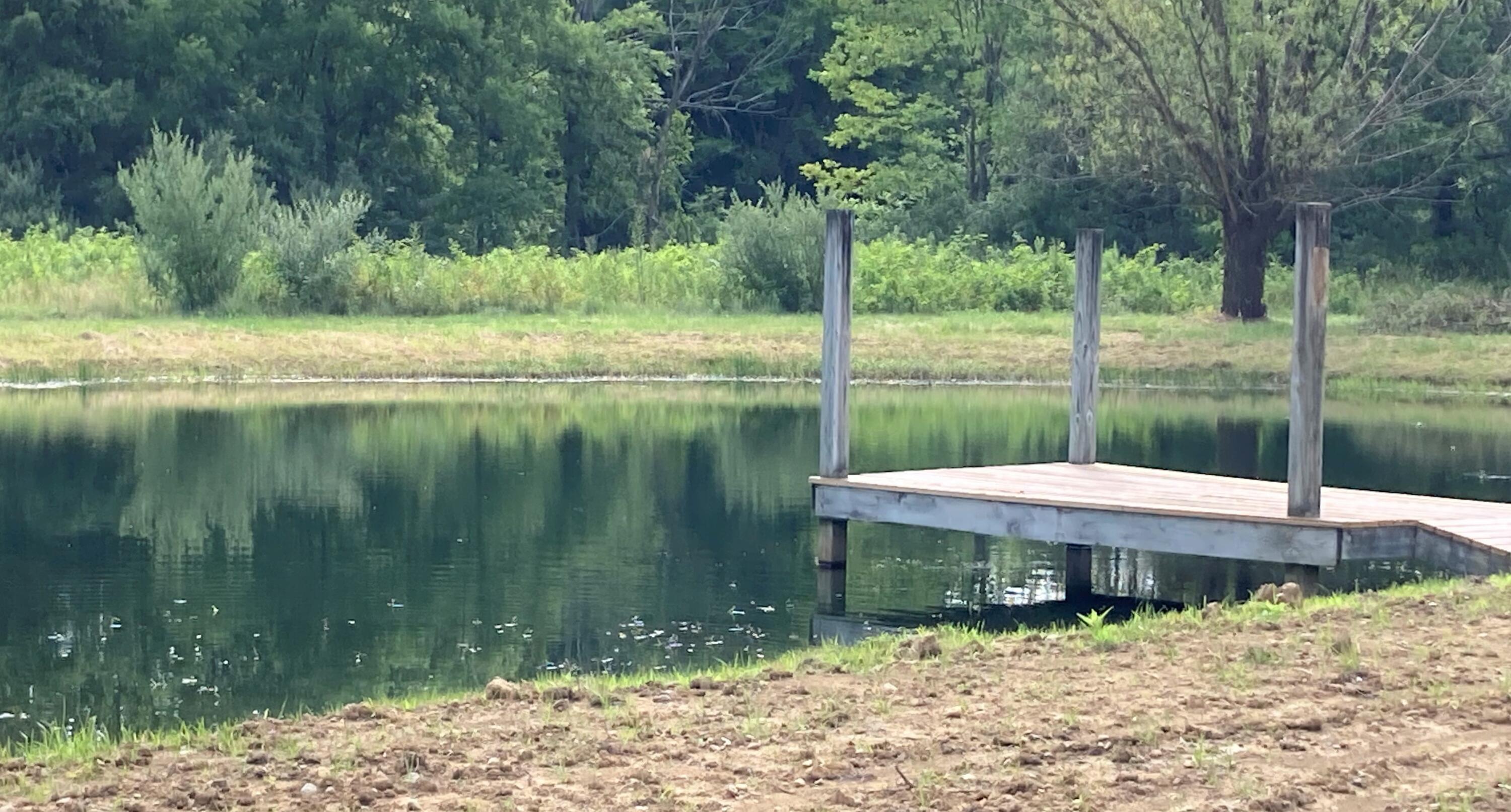 Pond has fishing deck with new decking.