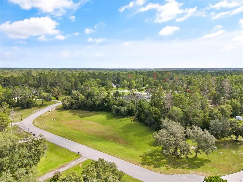 13615 Gopher Pond Court Hudson, FL 34669 - Photo 4 of 10 a view of a swimming pool with a yard