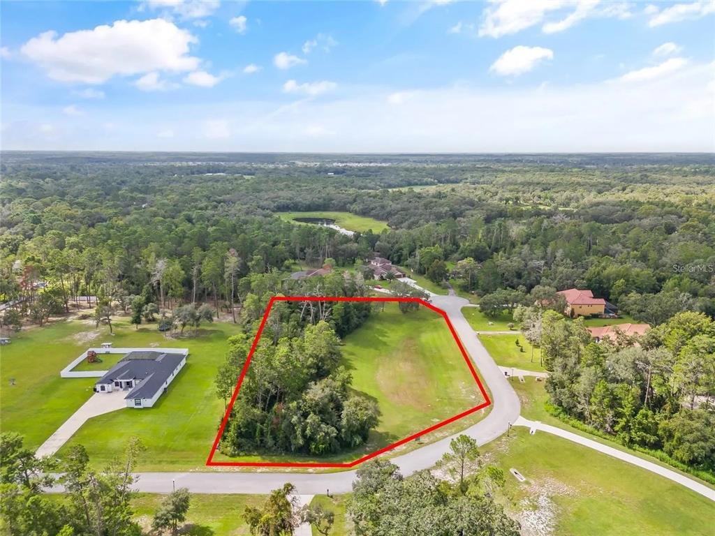 13615 Gopher Pond Court Hudson, FL 34669 - Photo 5 of 10 a view of a lake