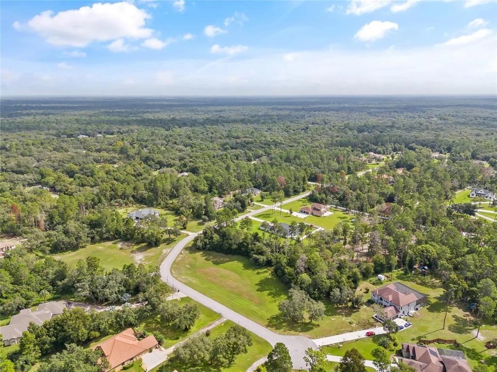 13615 Gopher Pond Court Hudson, FL 34669 - Photo 8 of 10 an aerial view of residential houses with outdoor space and trees